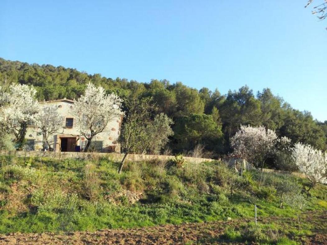 Masia Can Sunyer Agroturismo La Garriga Exteriér fotografie