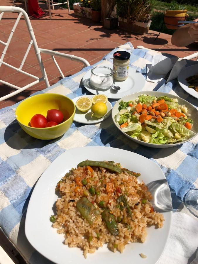 Masia Can Sunyer Agroturismo La Garriga Exteriér fotografie