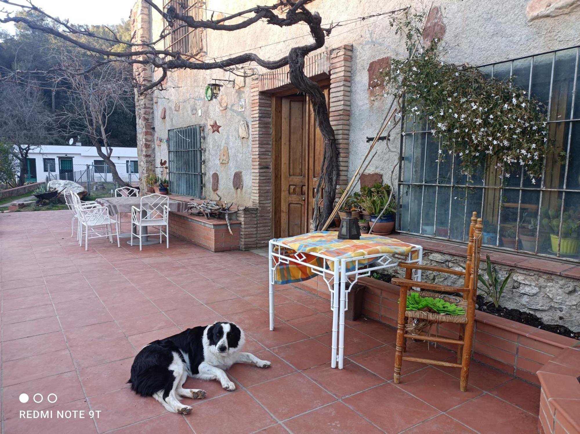 Masia Can Sunyer Agroturismo La Garriga Exteriér fotografie